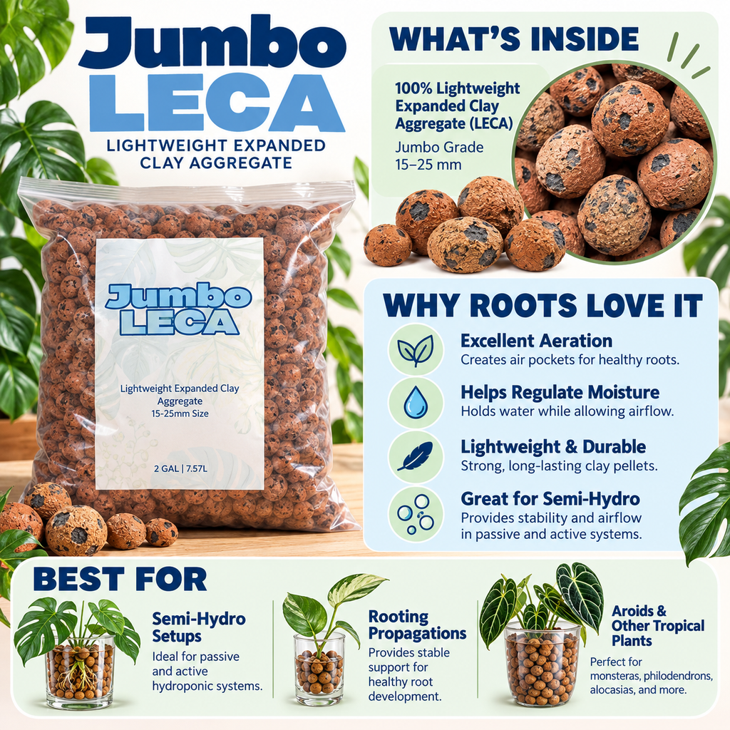 Jumbo LECA Clay Pebbles 15–25mm | Large Pre-Rinsed LECA for Big Plants & Drainage