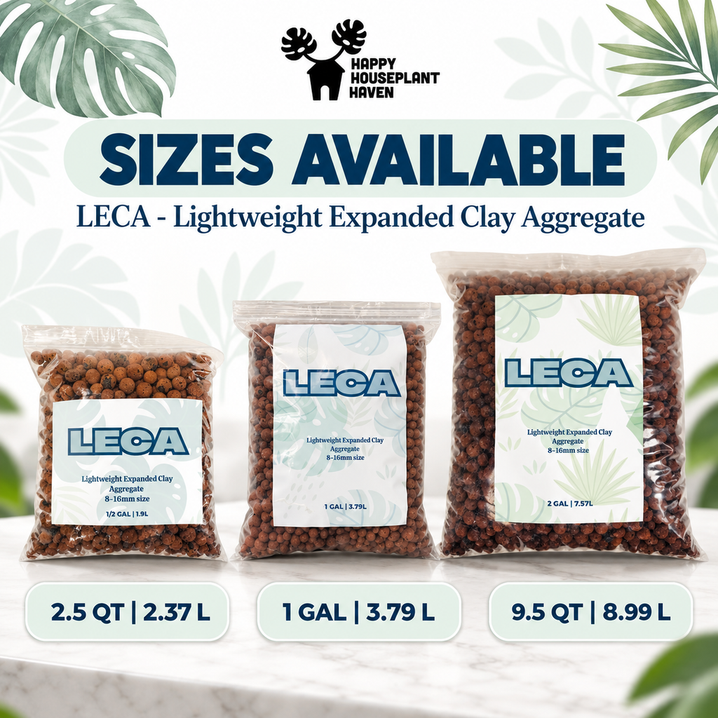 LECA Clay Pebbles 8–16mm | Pre-Rinsed Semi-Hydro Growing Medium for Houseplants