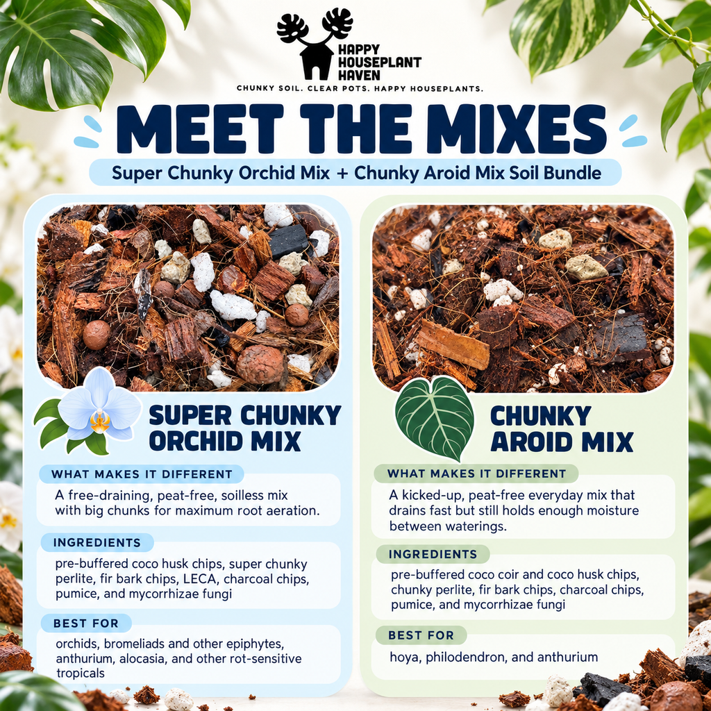 Super Chunky Orchid + Chunky Aroid Duo | Peat-Free Chunky Mix Set for Aroids & Epiphytes