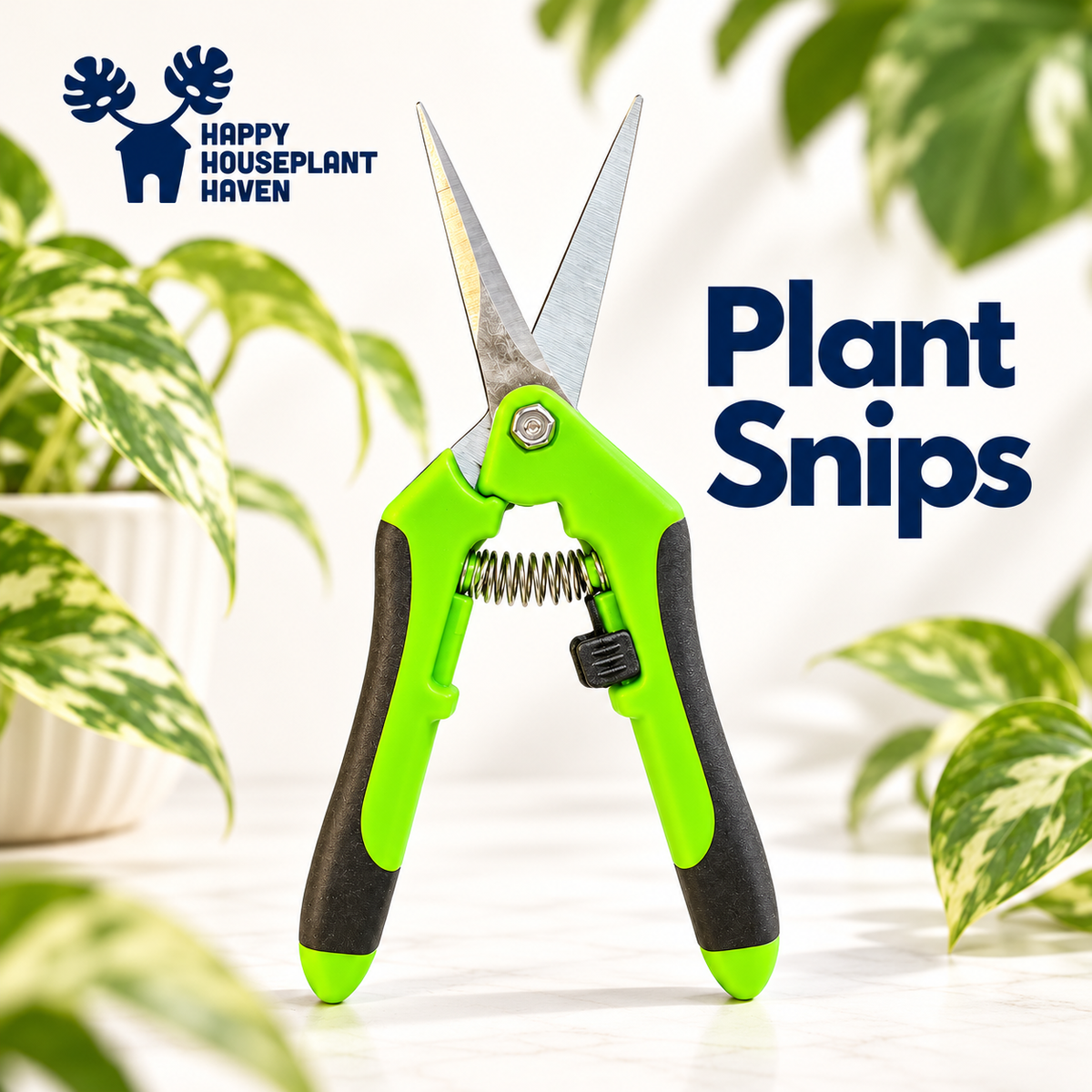 Plant Snips | Stainless Steel Pruning Shears for Houseplants | 1 Pair | Green, Blue or Orange