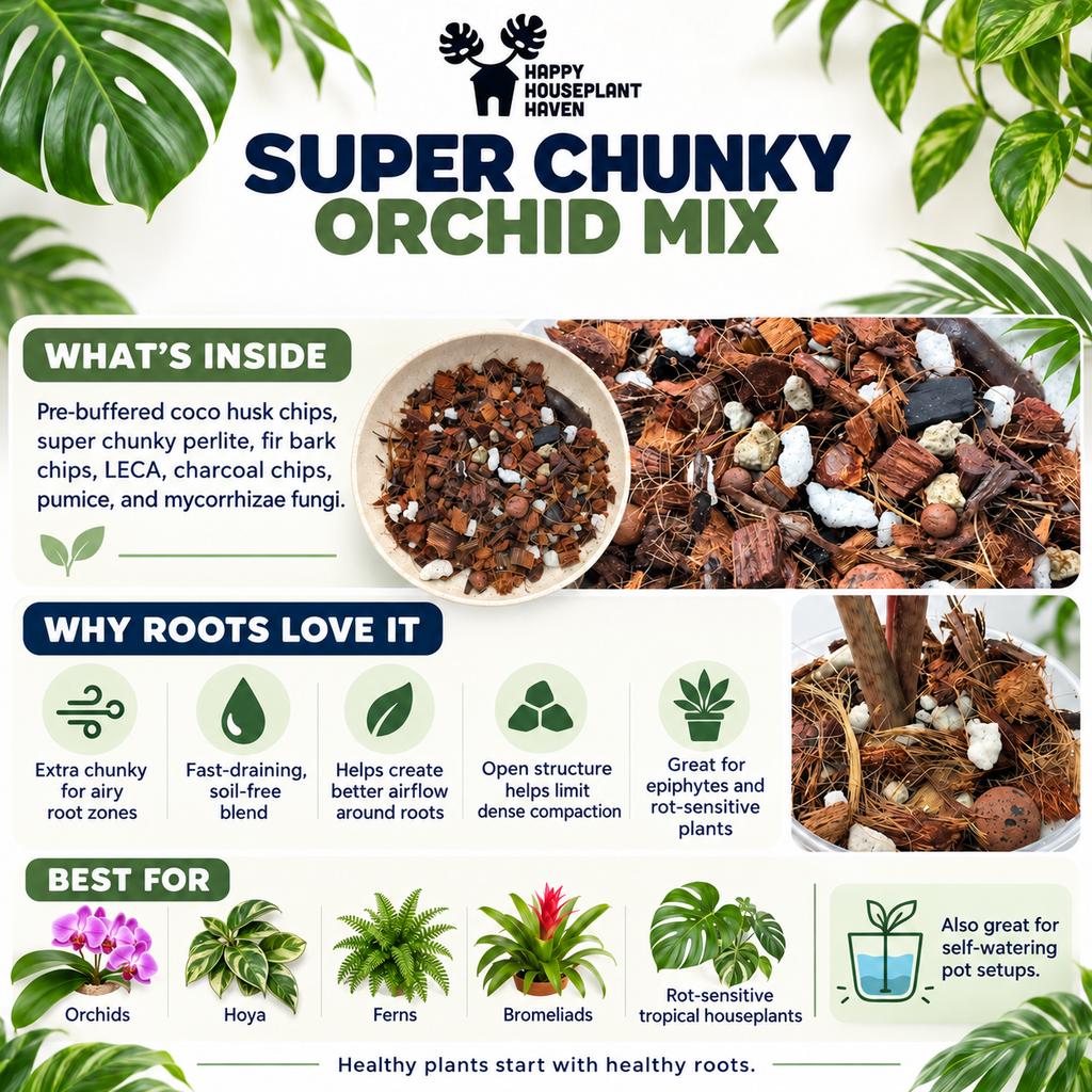Super Chunky Orchid Mix | Peat-Free Potting Mix for Orchids, Anthurium & Alocasia