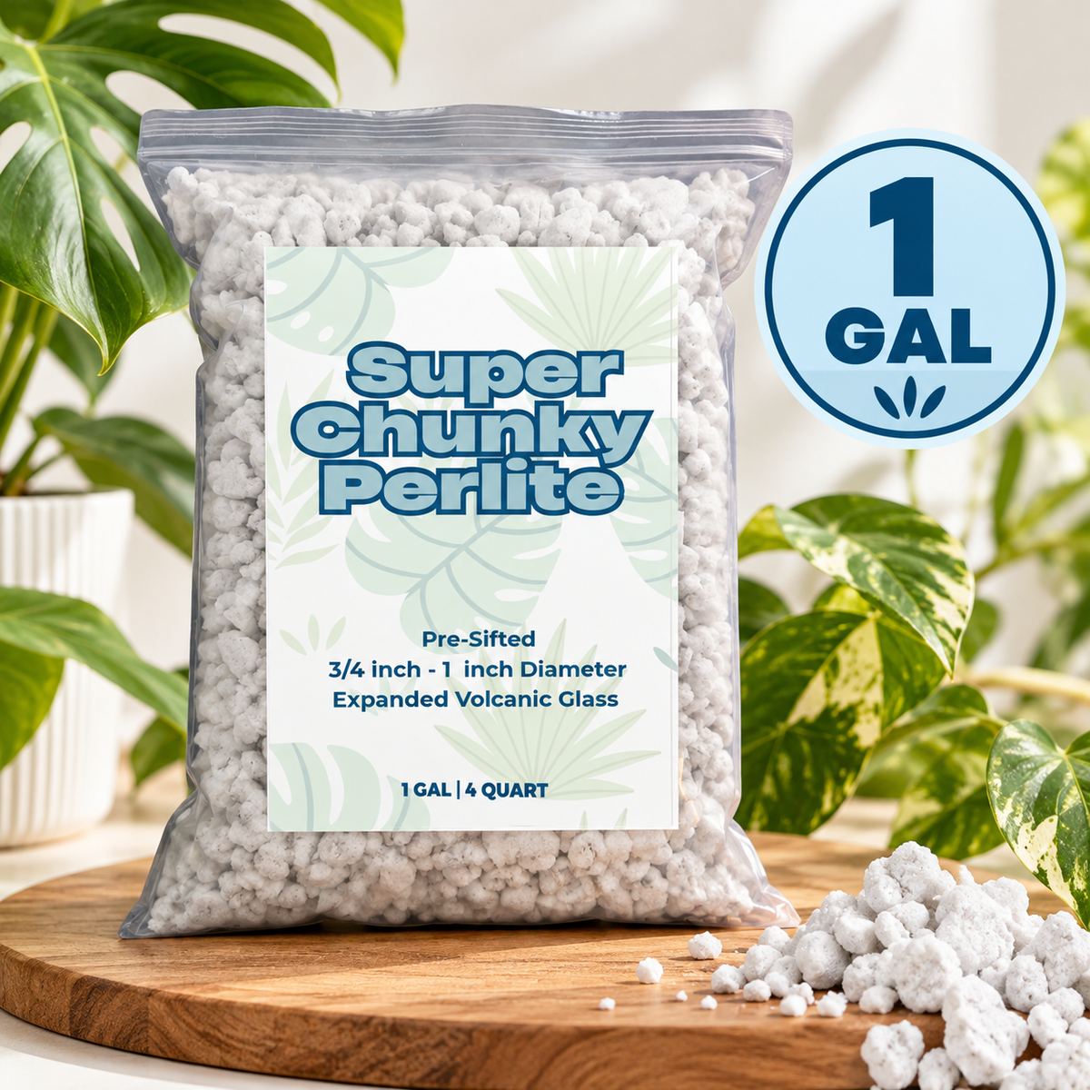 Super Chunky Perlite | 3/4–1 Inch Extra-Large Perlite for Aroid Mixes