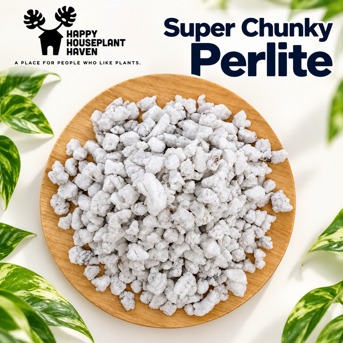 Super Chunky Perlite | 3/4–1 Inch Extra-Large Perlite for Aroid Mixes