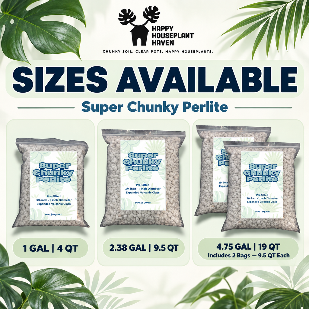 Super Chunky Perlite | 3/4–1 Inch Extra-Large Perlite for Aroid Mixes