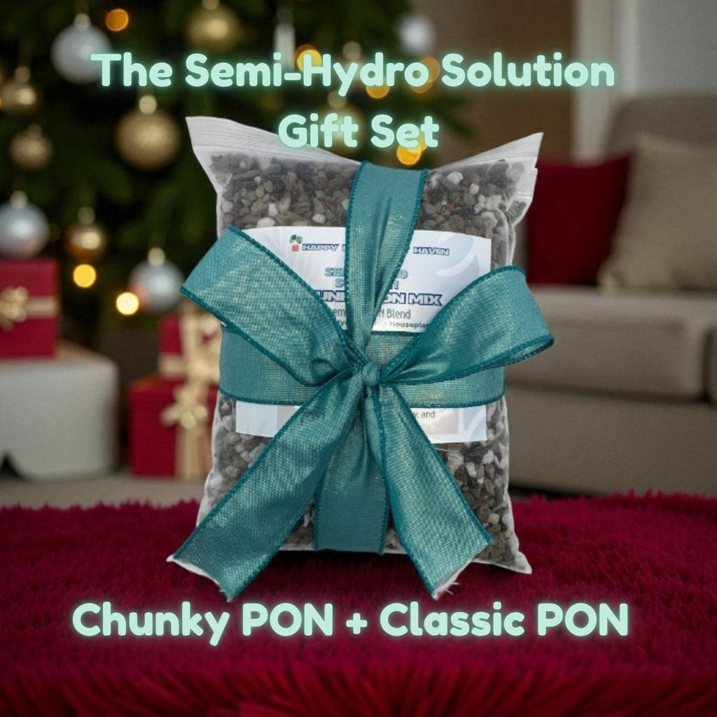 Gift set with a teal ribbon labeled 'The Semi-Hydro Solution Gift Set' on a festive background.