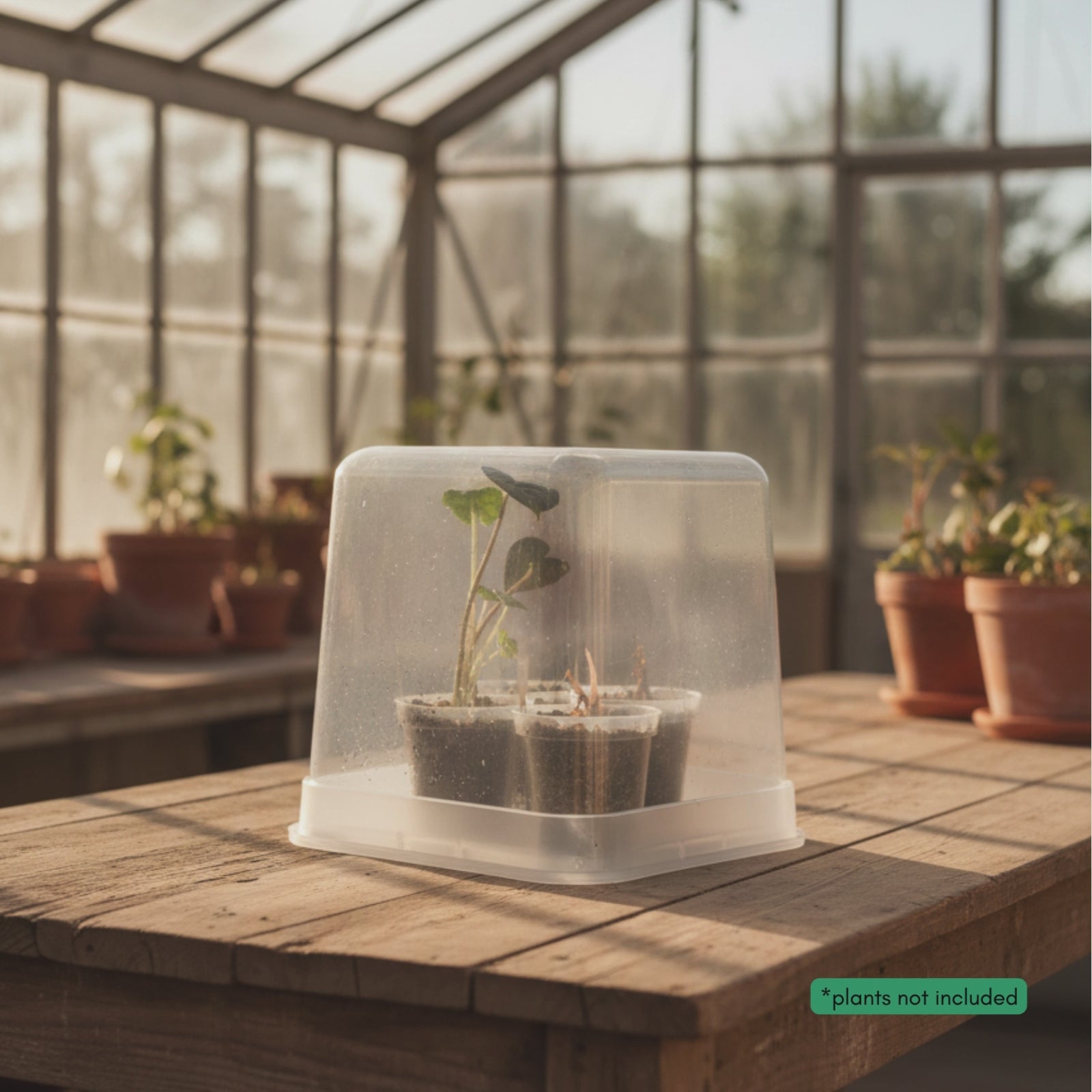 1 GALLON Potting Day Kit With Clear Storage Bin | Repotting Gift Set | FREE BONUS BAG