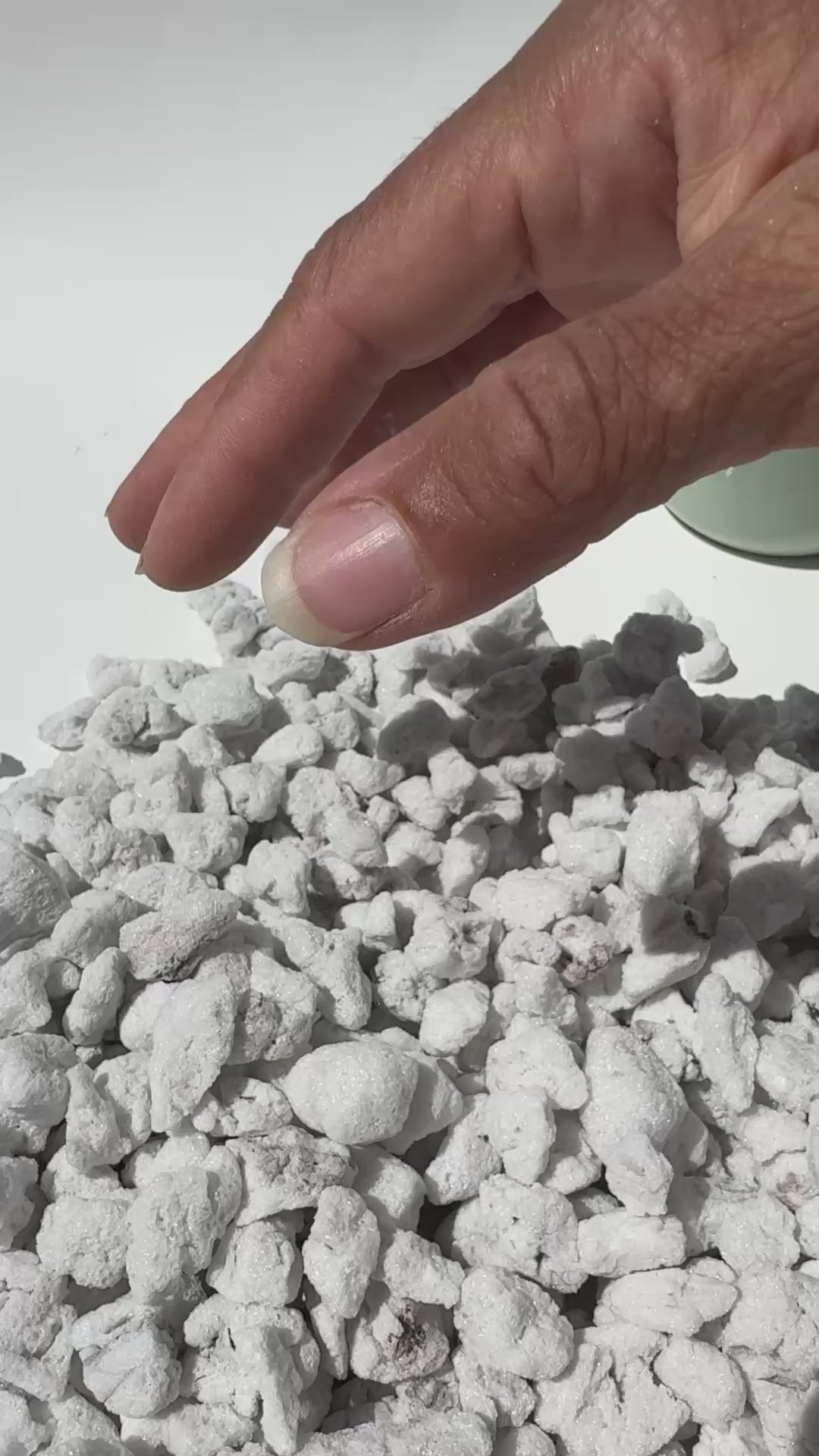 #4 Super Chunky Perlite – XL Grade Perlite for Drainage, Root Aeration & Aroid Soil Mixes