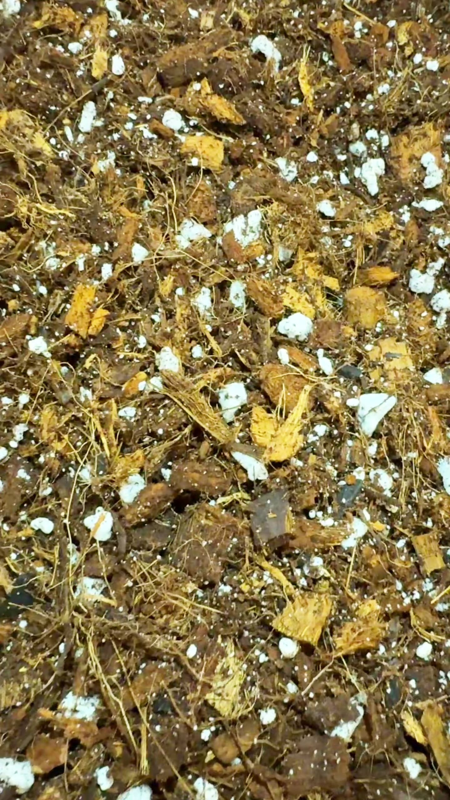 Chunky Aroid Mix | Well-Draining Soilless Potting Mix for Monsteras Hoyas Aroids